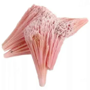 5 Stunning The Minerals Types That Will Amaze You - Nature's Hidden Treasures 15 A delicate and vibrant pink cluster of manganese dolomite carbonate mineral crystals, fanning out in a fibrous, radiating formation.