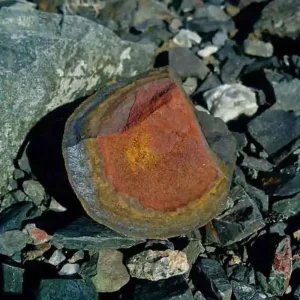 5 Stunning The Minerals Types That Will Amaze You - Nature's Hidden Treasures 22 A rounded rock of limonite, an iron ore mineral, showing concentric bands of red, orange, and brown on a bed of gravel.